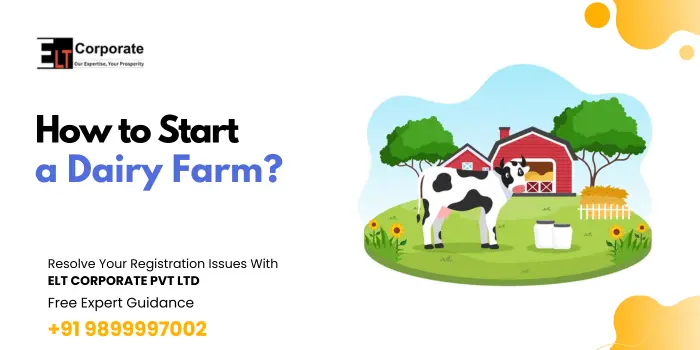 Start a Dairy Farm